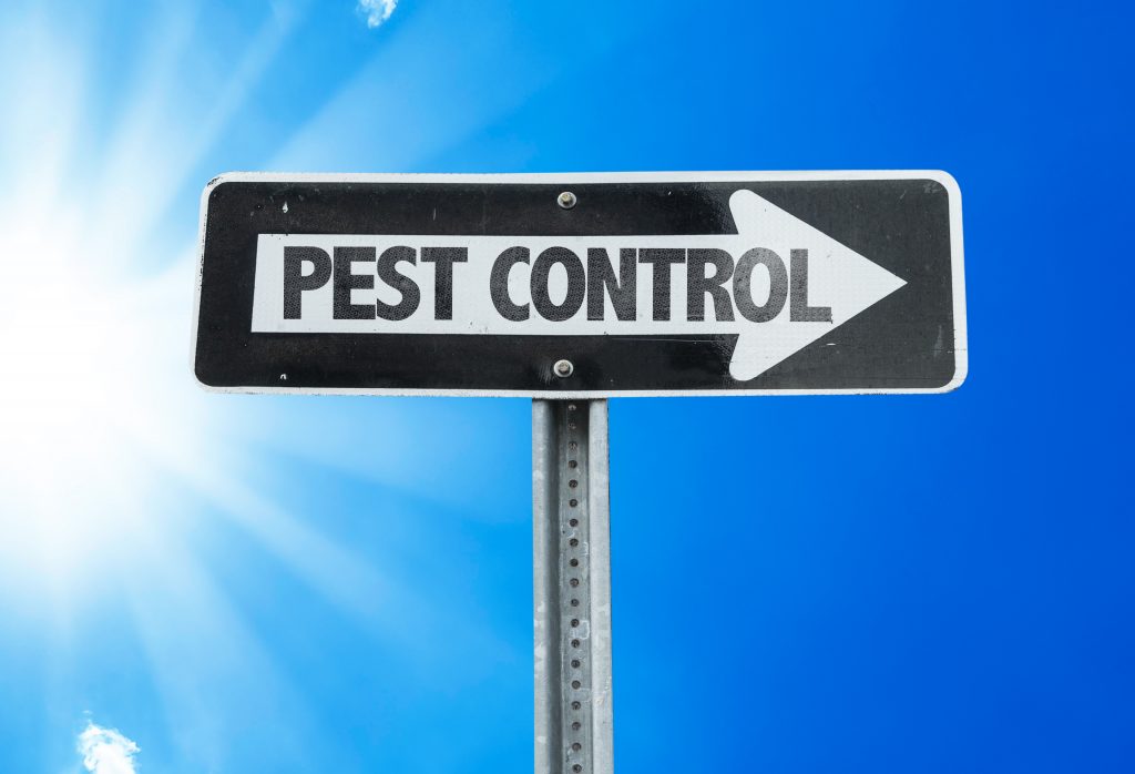 residential pest control